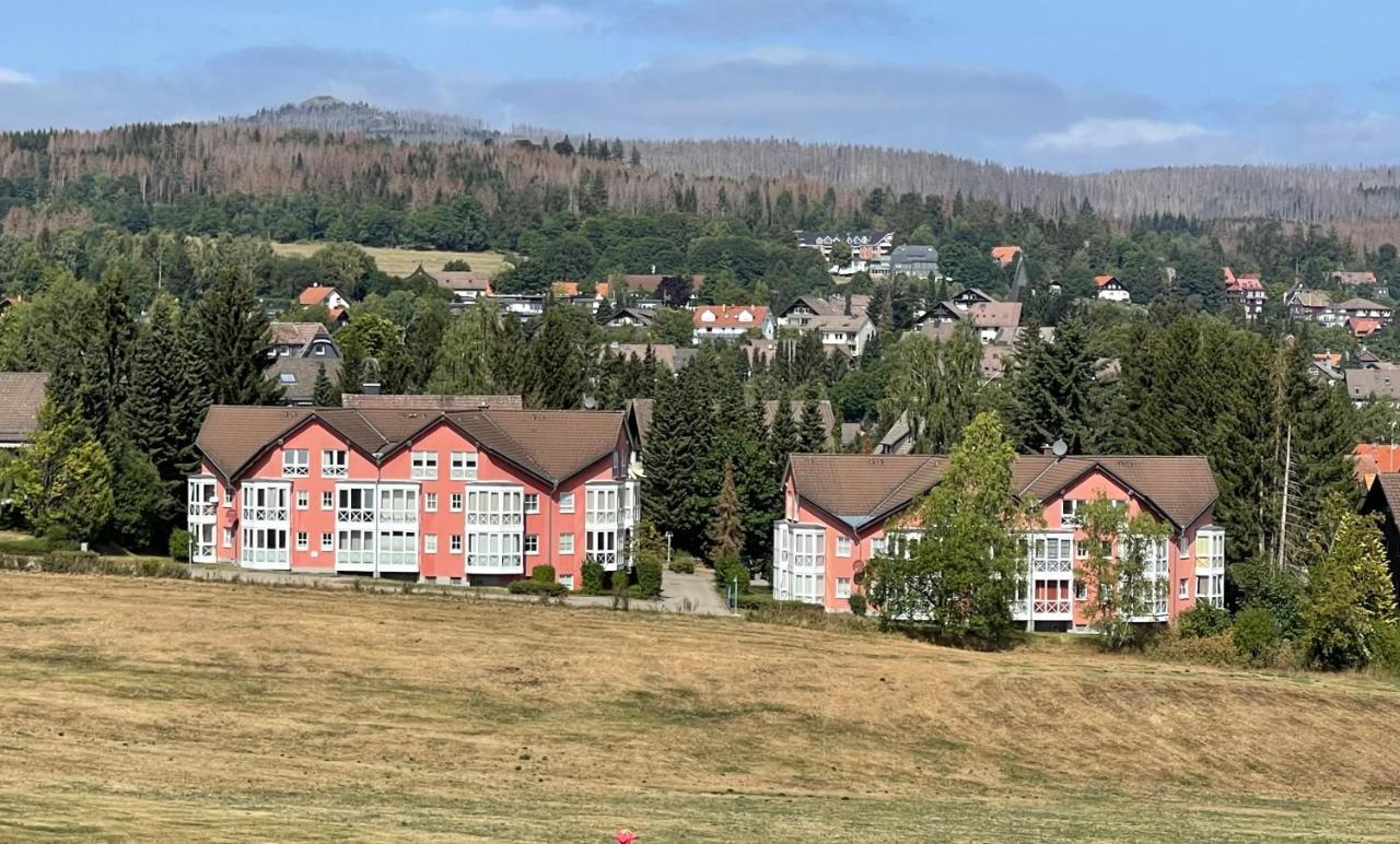 Harztraum-6 Lägenhet Braunlage Exteriör bild
